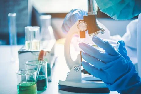 Scientist student  looking through a microscope in an experiment research in  Stock Photos