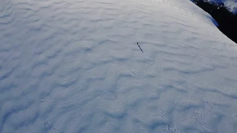 Scientist studies glacier in Antarctica 스톡 동영상 308476253
