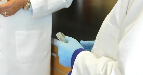 Scientist studies two samples Stock Footage 114181596