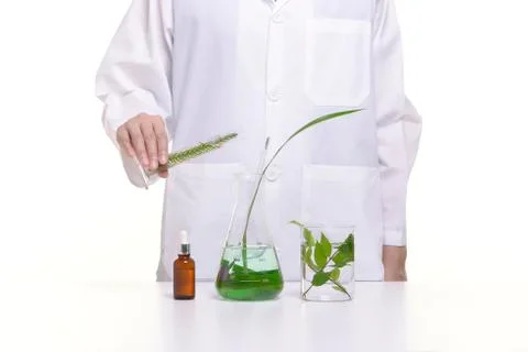 Scientist study and research liquid medicine from natural herbal. Stock Photos