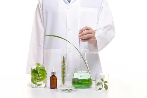 Scientist study and research liquid medicine from natural herbal. Stock Photos