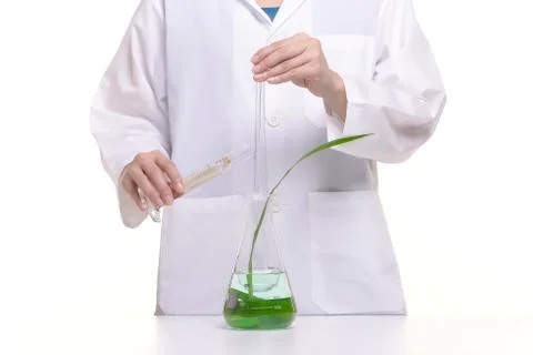 Scientist study and research liquid medicine from natural herbal. Stock Photos
