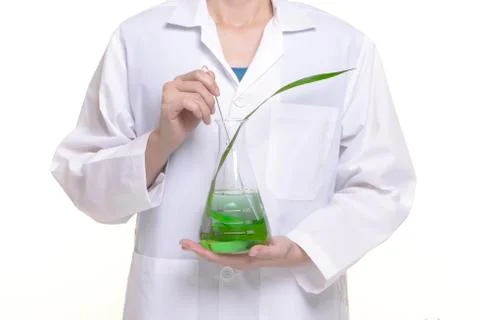 Scientist study and research liquid medicine from natural herbal. Stock Photos