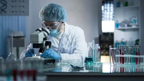 Scientist studying dna branches for additional information in cloning process Stock Photos