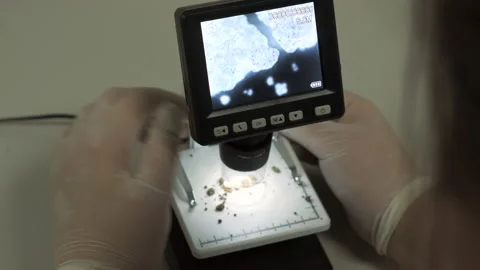 Scientist studying samples of soil in laboratory at the microscope. Stock Footage 168425881
