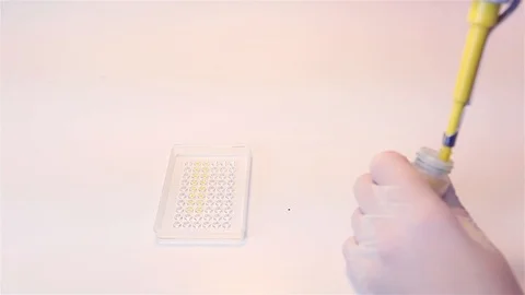 Scientist takes DNA samples with a syringe Stockbeeldmateriaal 100401628