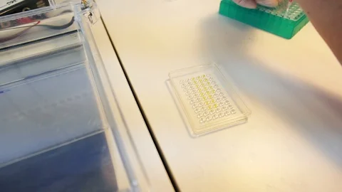 Scientist takes DNA samples with a syringe Stockbeeldmateriaal 100401647