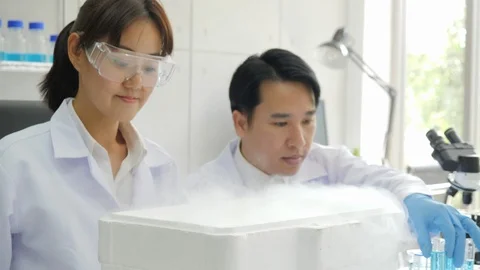 Scientist takes out petri dish from a cryogenic nitrogen container. Stock Footage