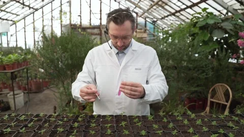 Scientist takes the soil for seedlings for analysis with stick and puts it in Stock Footage 185363853
