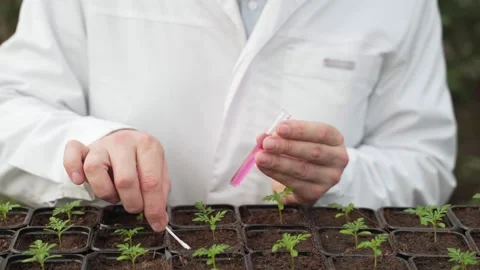 Scientist takes the soil for seedlings for analysis with stick and puts it in Видео 186009375
