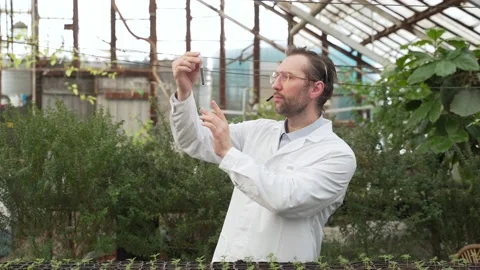 Scientist takes the soil for seedlings for analysis. Bioengineering, GMO Stock Footage 186447208