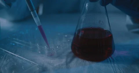 Scientist taking out a red liquid from a conical flask and placing it into plate Stock Footage 121152689