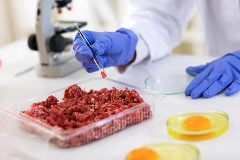Scientist taking sample of meat to making test quality, food quality control  Stock Photos