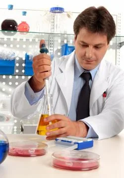 Scientist taking sample with pipette Stock Photos