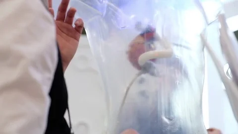 A scientist talks about the structure and functioning of the heart, embedded in Stock Footage 81457702