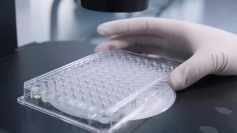 Scientist Team Developing Vaccine in Modern Pharmaceutical Laboratory 4K Stock Footage 346368798