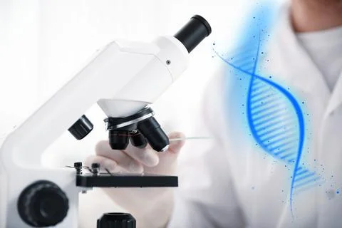 Scientist with test slide and microscope in laboratory, closeup. Medical rese Foto stock