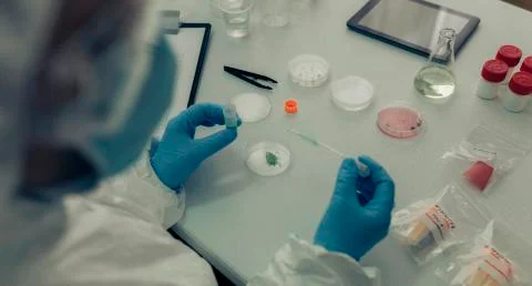 Scientist testing antivirus in a laboratory Stock Photos