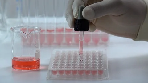Scientist testing DNA biochemistry in laboratory. health care concept. 库存影片 123820913