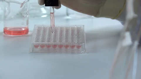 Scientist testing DNA biochemistry in laboratory. health care concept. 库存影片 123820946