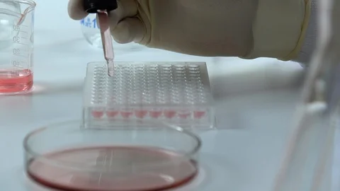 Scientist testing DNA biochemistry in laboratory. health care concept. Stock Footage 123821707