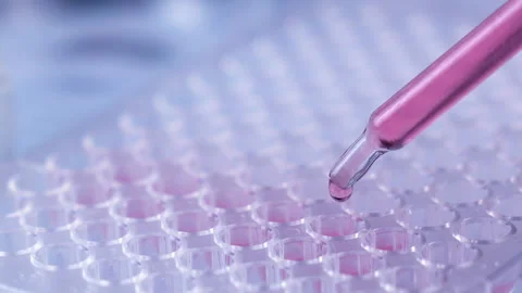 Scientist testing in laboratory for analysis or researching. Stock Footage 153254622
