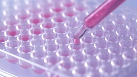 Scientist testing in laboratory for analysis or researching. Stock Footage 153254635