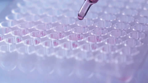 Scientist testing in laboratory for analysis or researching. Stock Footage 153254684