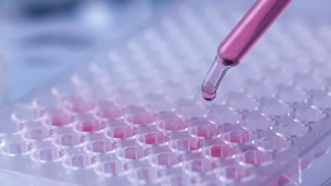 Scientist testing in laboratory for analysis or researching. Stock Footage 153254689