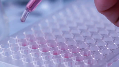 Scientist testing in laboratory for analysis or researching. Stock Footage 153254755