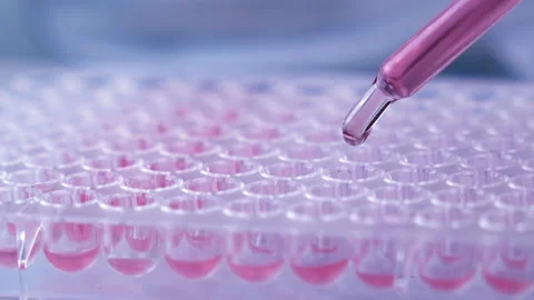 Scientist testing in laboratory for analysis or researching. Stock Footage 153254844