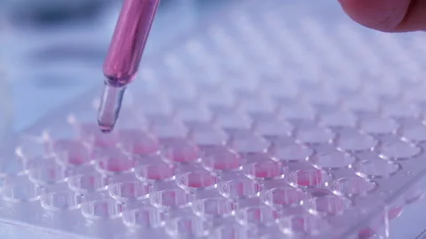 Scientist testing in laboratory for analysis or researching. Stock Footage 153254873
