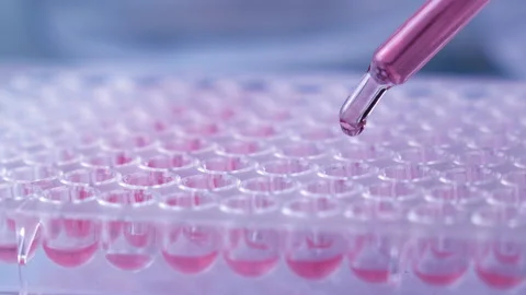Scientist testing in laboratory for analysis or researching. Stock Footage 153254874