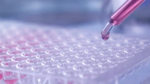 Scientist testing in laboratory for analysis or researching. Stock Footage 153254877
