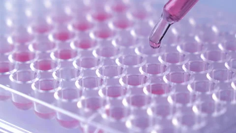 Scientist testing in laboratory for analysis or researching. Stock Footage 153254946