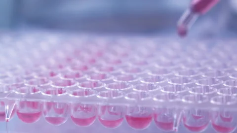 Scientist testing in laboratory for analysis or researching. Stock Footage 153254962