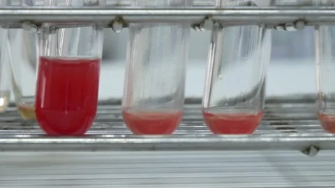 Scientist testing in laboratory. Stock Footage 238431483