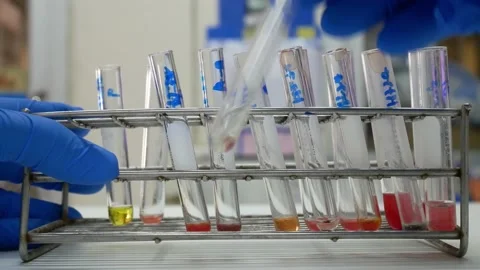 Scientist testing in laboratory. Stock Footage 238431621