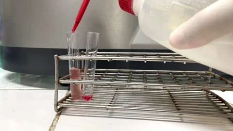 Scientist testing in laboratory. Stock Footage 280376589