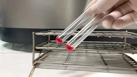 Scientist testing in laboratory. Stock Footage 280376590