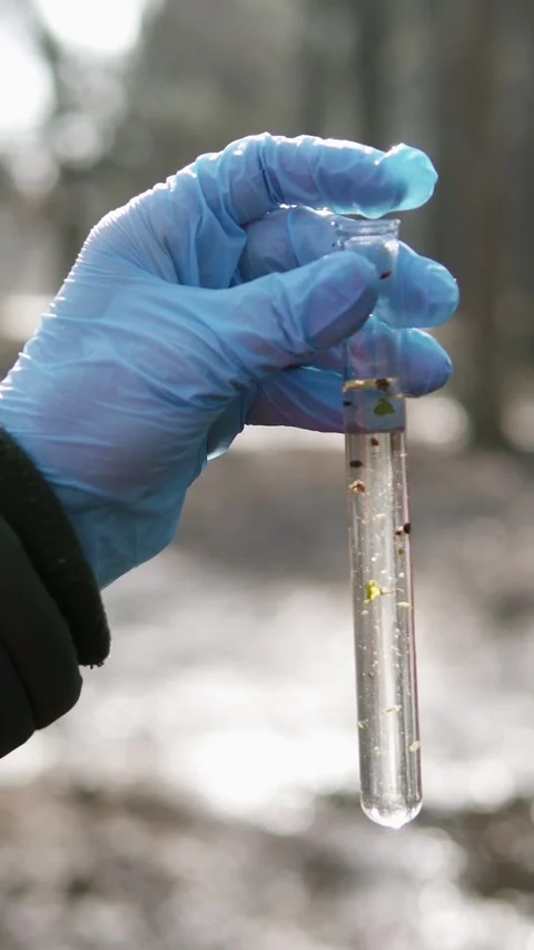 Scientist testing water sample for pollution and infections outdoors Stock Footage 328078886