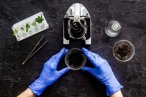 Scientist tests plants with microscope in laboratory. Overhead view Stock Photos