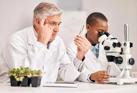 Scientist, thinking and teamwork of plants, agriculture solution and problem Foto stock