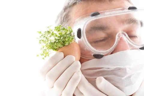 Scientist touching cress in egg shell, close up Stock Photos