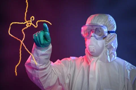 Scientist Touching Ebola Virus Stock Photos