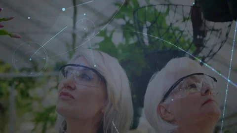 Scientist touching vine leaves in lab activating data overlays for study while Stock Footage 311948888