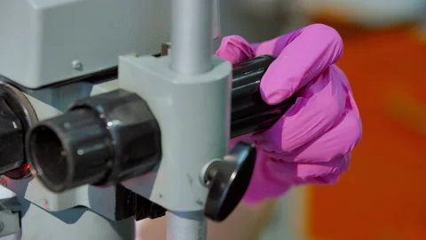 A scientist under a microscope examines a new species of breeding plant Vídeos de archivo 141270670