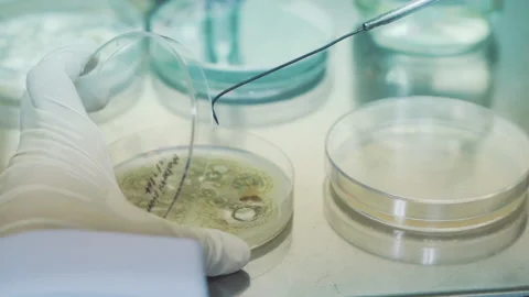 Scientist use equipment to collect sample experiment in laboratory close up Stock-Footage 158914887