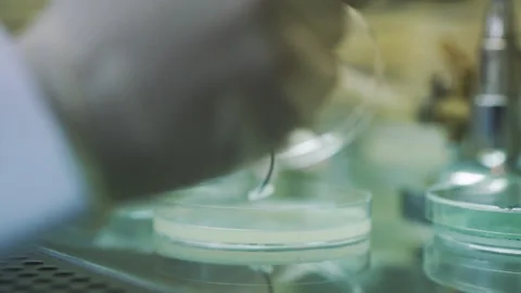 Scientist use equipment to separate sample experiment in laboratory close up Stock Footage 158914678