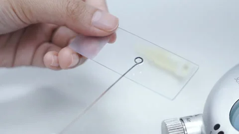 Scientist use equipment to spread out liquid on the microscope cover glass Stock-Footage 158914858